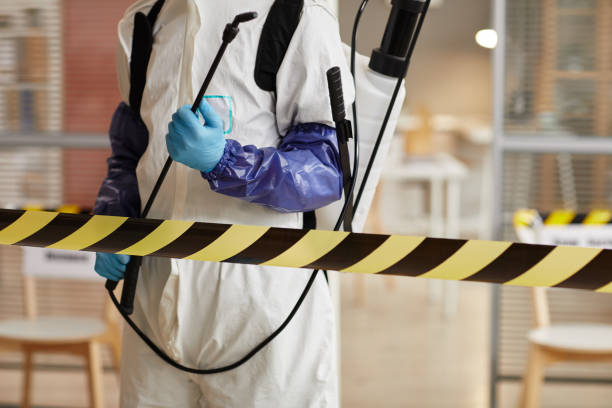 Professional Hoarding Cleanup technician working in Big Bear Lake, CA